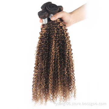 Top Quality Raw Mink Virgin Brazilian Hair Bundles Curly Wave Piano Color 4/27 Human Hair